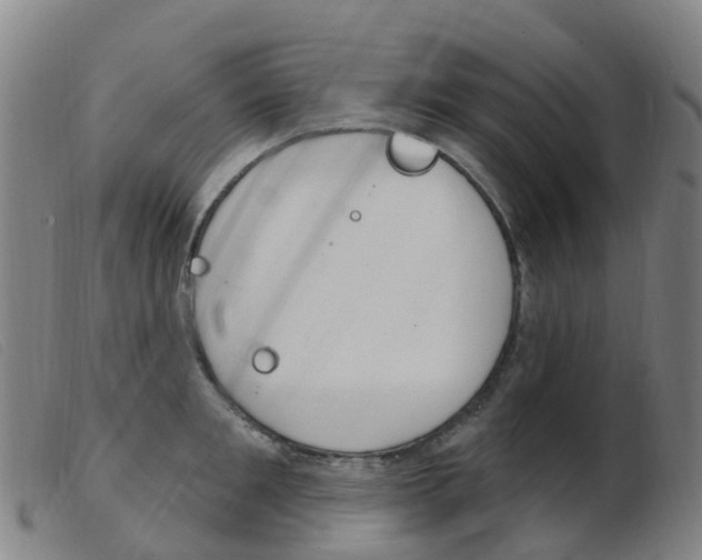 X0000103950901200809191208