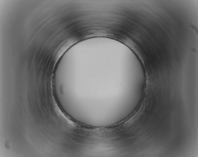 X0000103950906200809191208