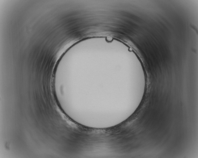 X0000103950909200809191208