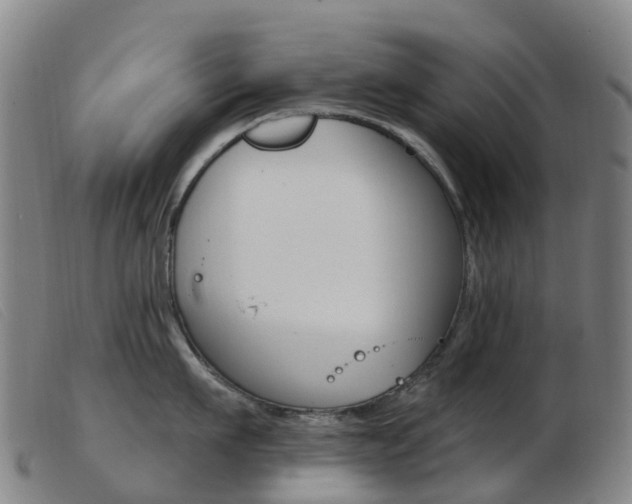 X0000103950911200809191208