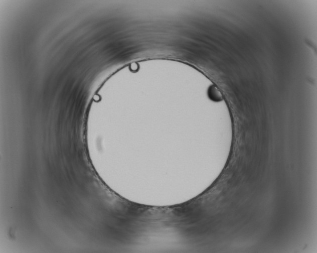 X0000103950912200809191208