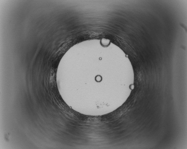 X0000103950914200809191207