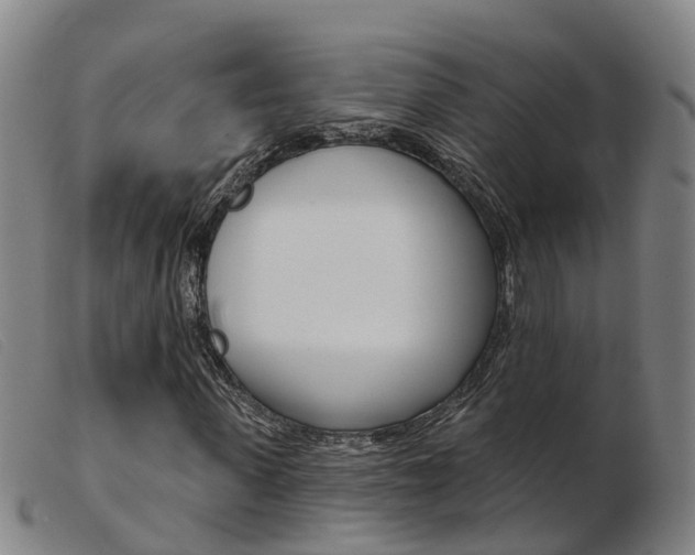X0000103950915200809191207