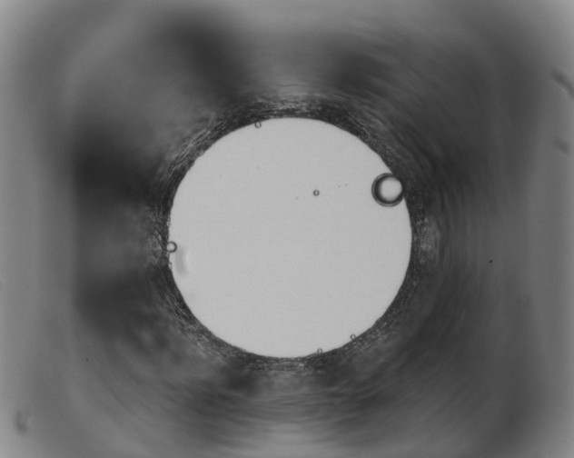 X0000103950916200809191207