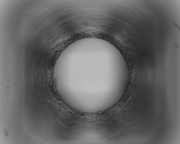 X0000103950917200809191207