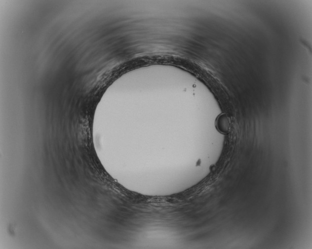 X0000103950918200809191207