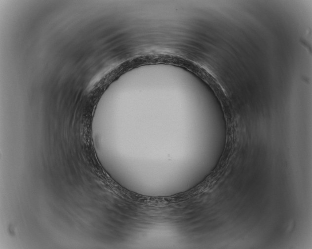 X0000103950919200809191207