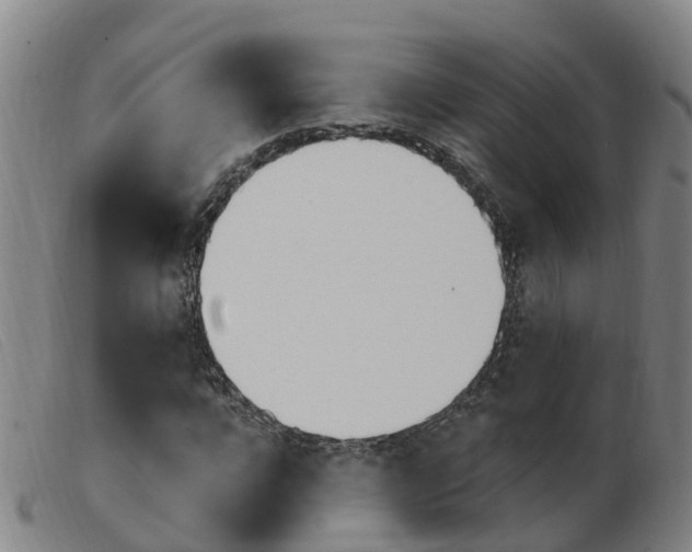 X0000103950920200809191207