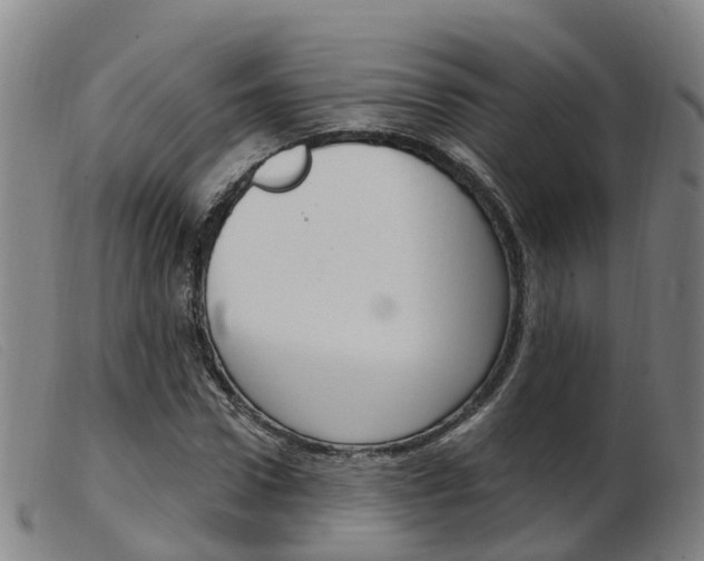 X0000103950922200809191207