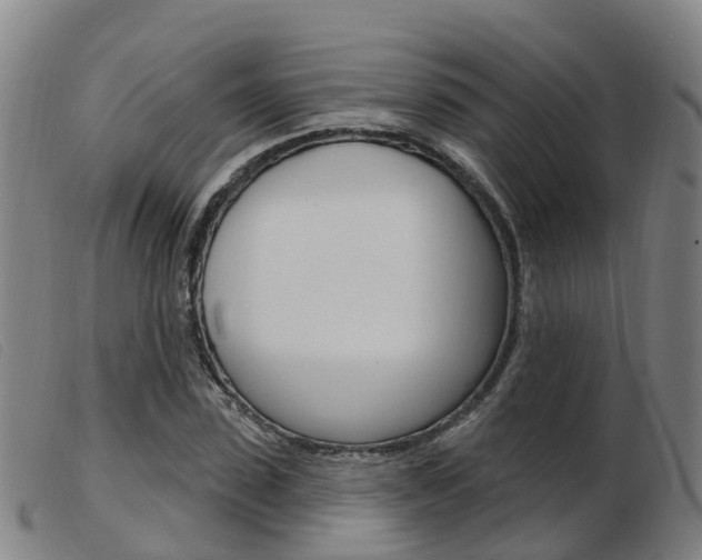 X0000103950923200809191207