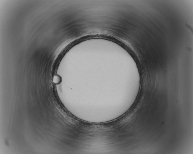X0000103950927200809191207