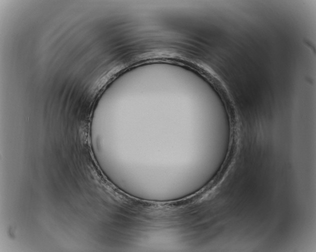 X0000103950929200809191207