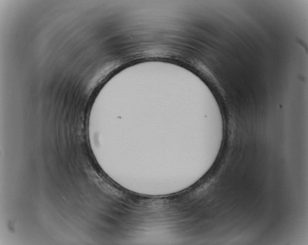 X0000103950930200809191207