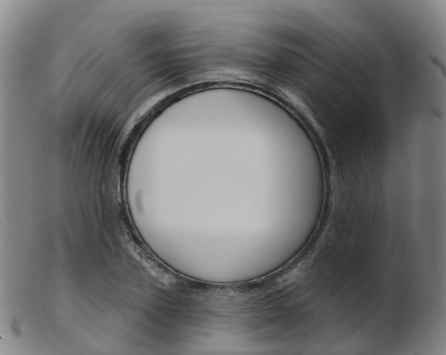 X0000103950931200809191207