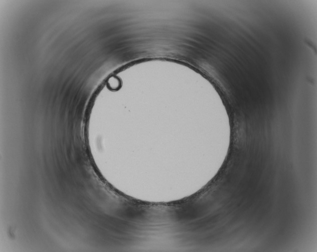 X0000103950932200809191207