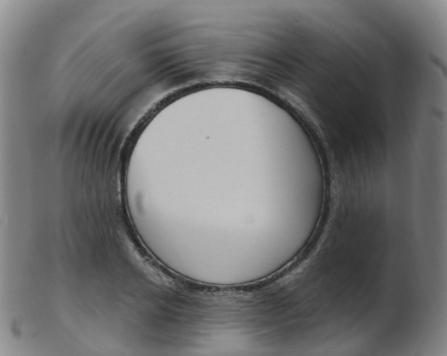 X0000103950934200809191207