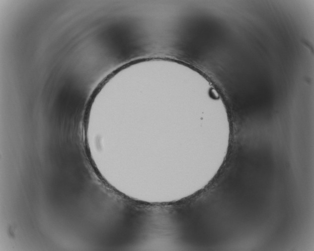X0000103950936200809191208