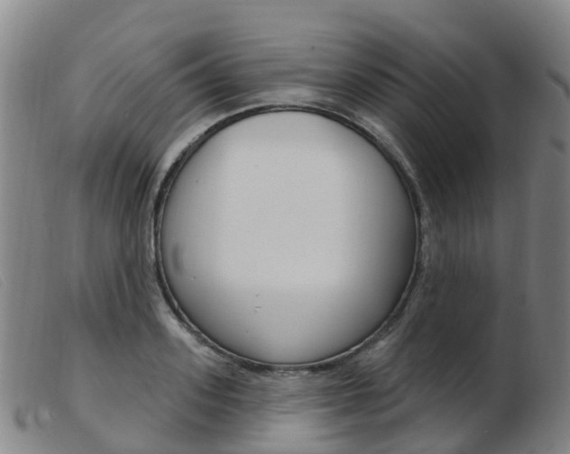 X0000103950939200809191208