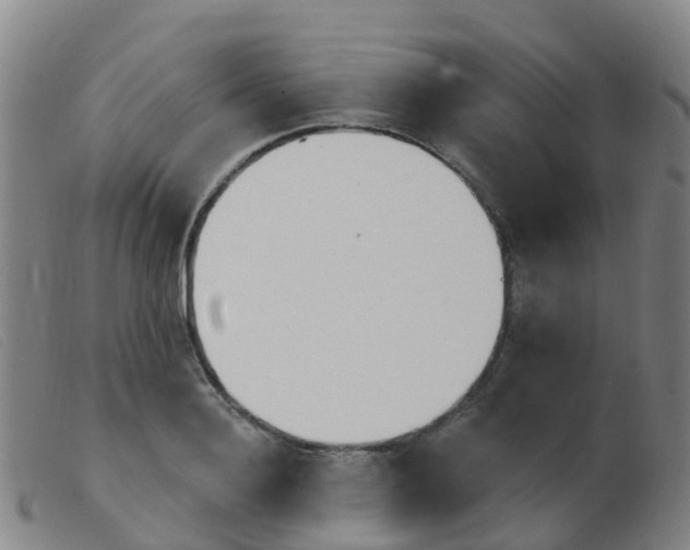 X0000103950940200809191208