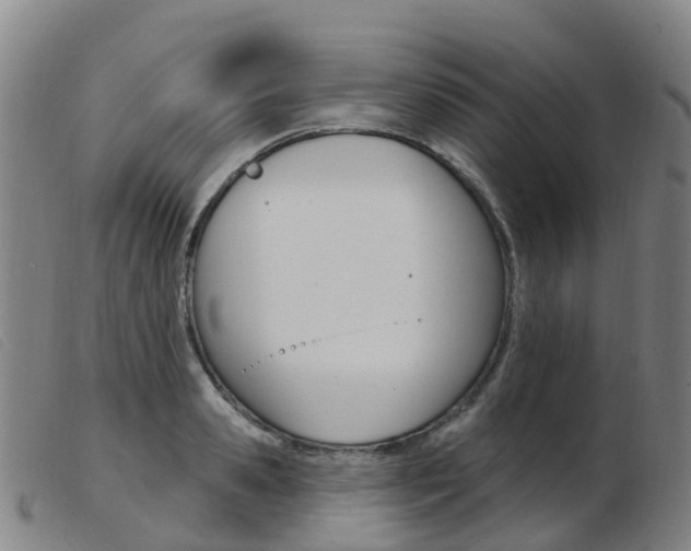 X0000103950941200809191208