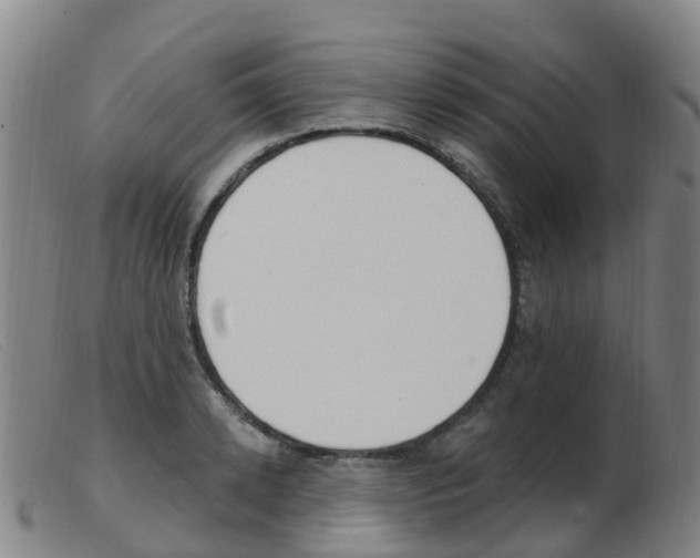 X0000103950942200809191208