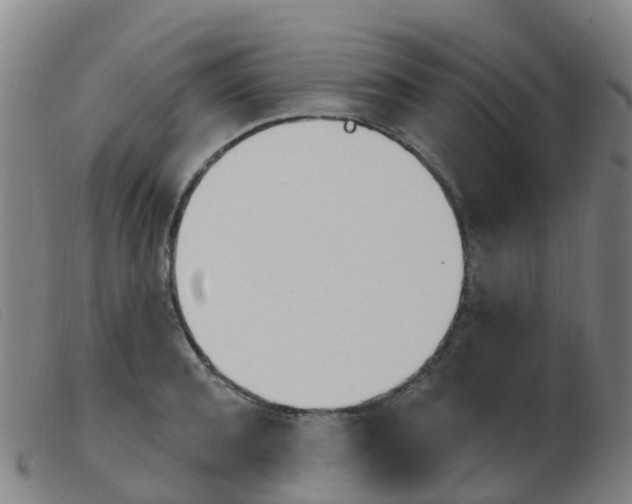 X0000103950944200809191208