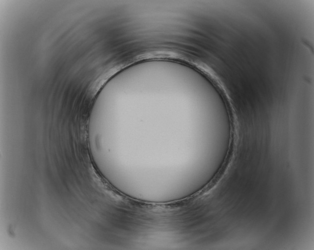 X0000103950945200809191208