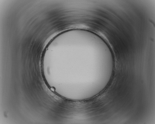 X0000103950947200809191208