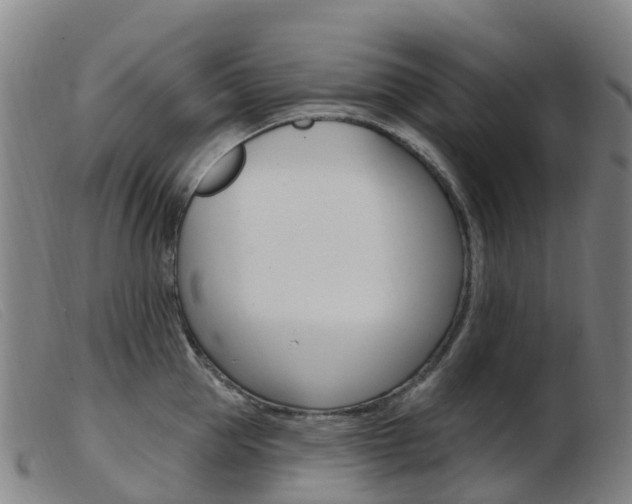 X0000103950953200809191208