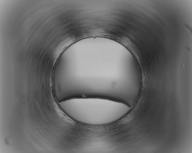 X0000103950954200809191208