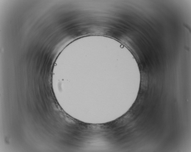 X0000103950956200809191208