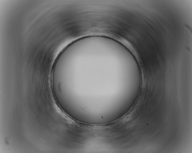 X0000103950958200809191208