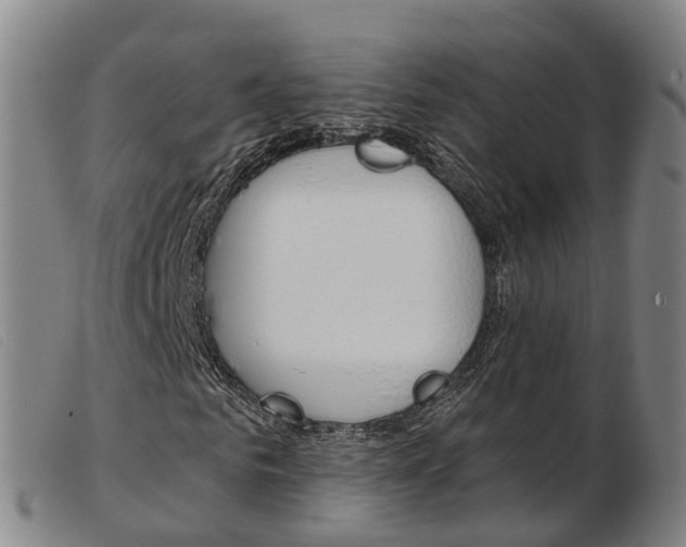 X0000103950961200809191207