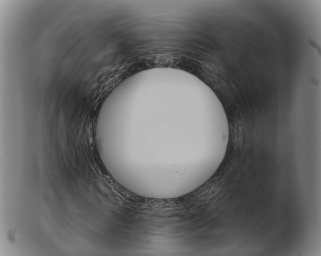 X0000103950962200809191207