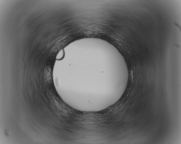 X0000103950963200809191207