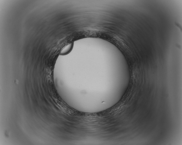 X0000103950964200809191207