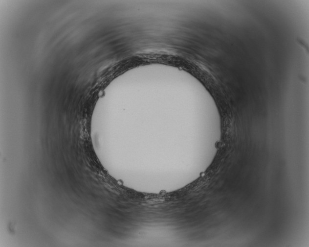 X0000103950965200809191207