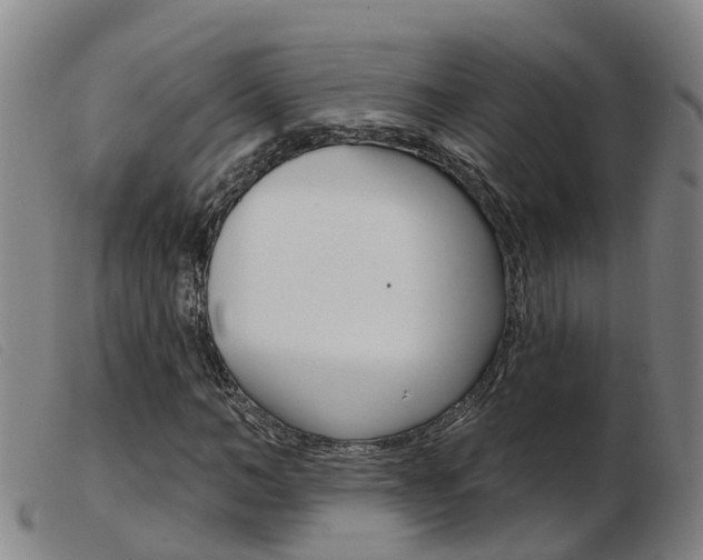 X0000103950966200809191207
