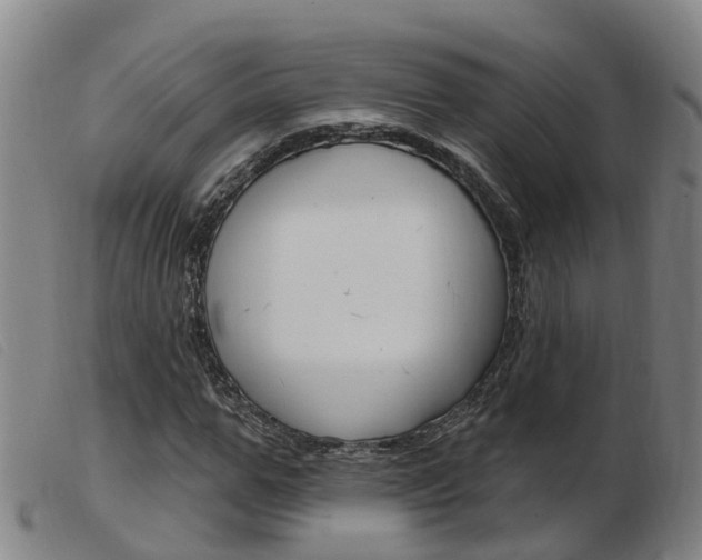 X0000103950967200809191207