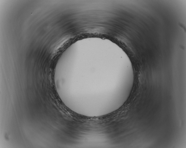X0000103950968200809191207