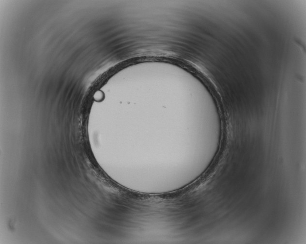 X0000103950971200809191207