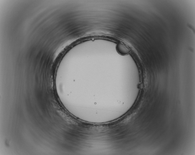 X0000103950973200809191207
