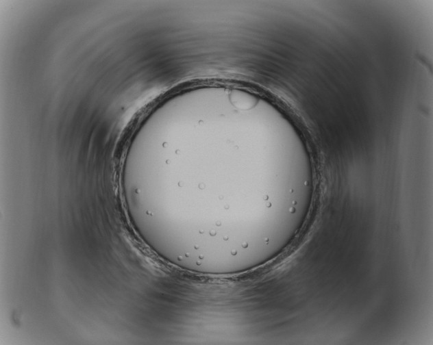 X0000103950974200809191207