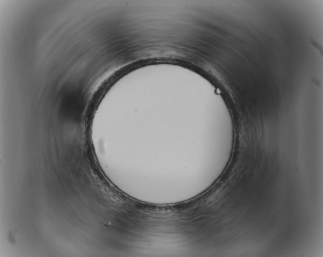 X0000103950975200809191207