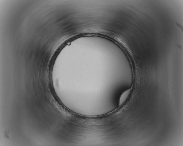 X0000103950976200809191207