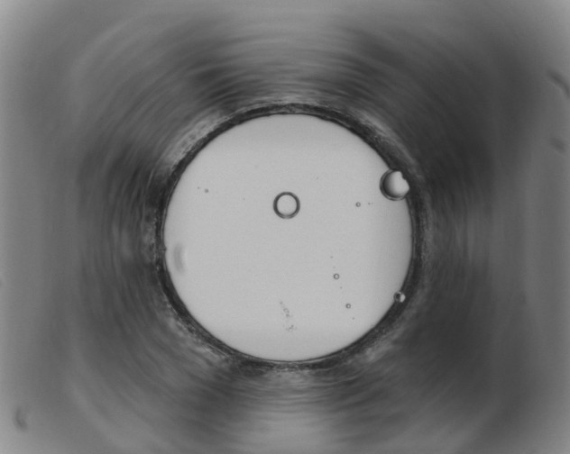 X0000103950977200809191207