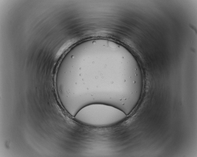 X0000103950978200809191207