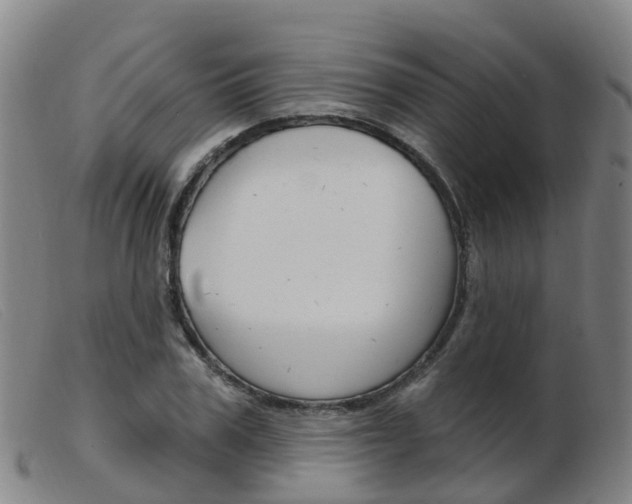 X0000103950979200809191207