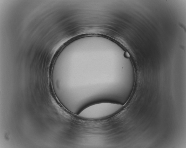 X0000103950980200809191207