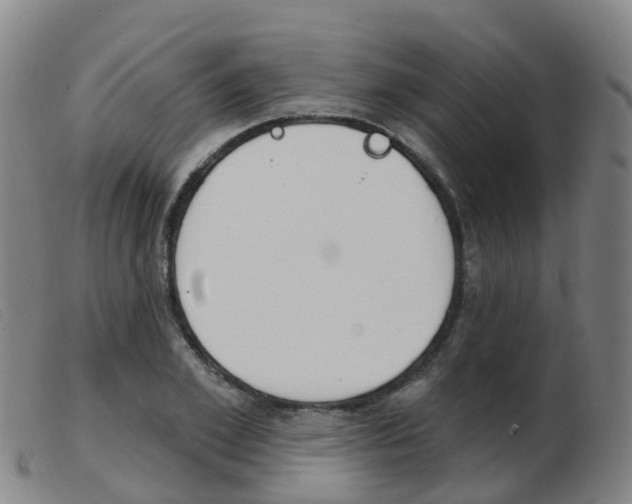 X0000103950981200809191207